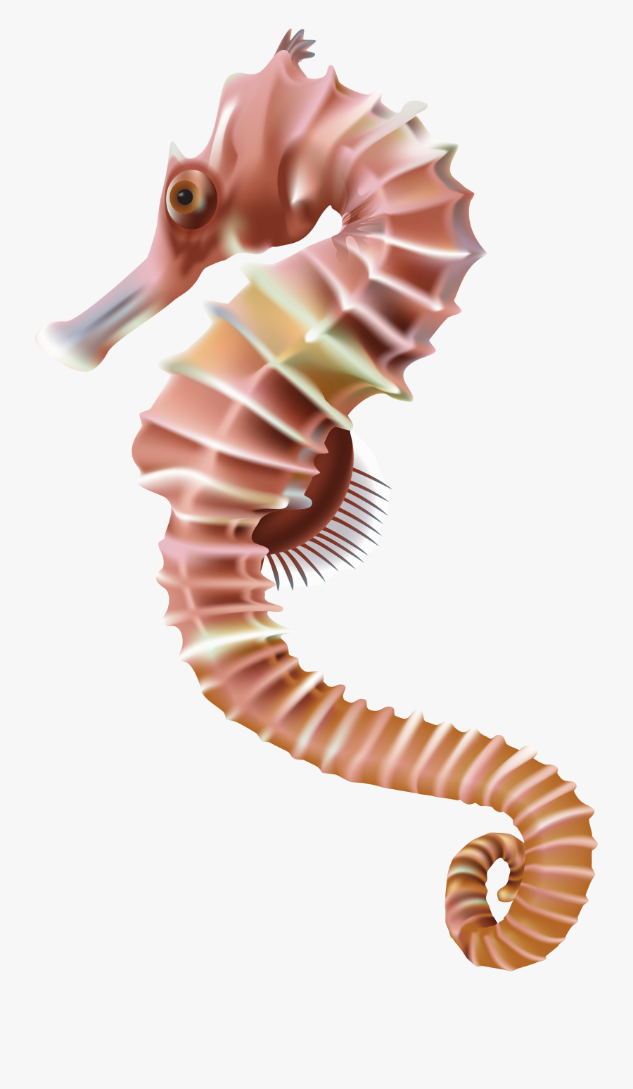 Seahorse Clipart Sea Horse - Sea Horse Png Transparent, Transparent Clipart