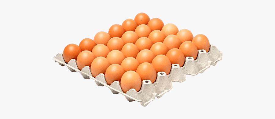 Eggs In A Tray Transparent, Transparent Clipart