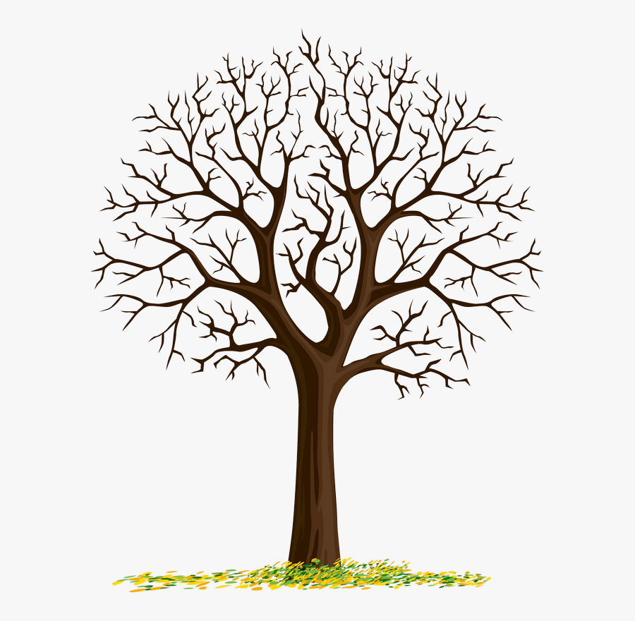 Cartoon Tree Trunk Png , Free Transparent Clipart - ClipartKey