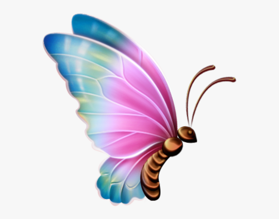 Transparent Borboleta Png - Transparent Background Butterfly Clipart Png, Transparent Clipart