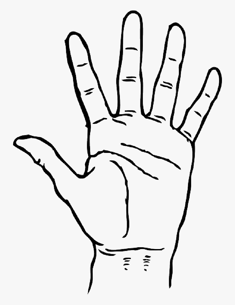 Black, Icon, Left, Right, Outline, Hand, Drawing, Open - Hand Clip Art Black And White, Transparent Clipart