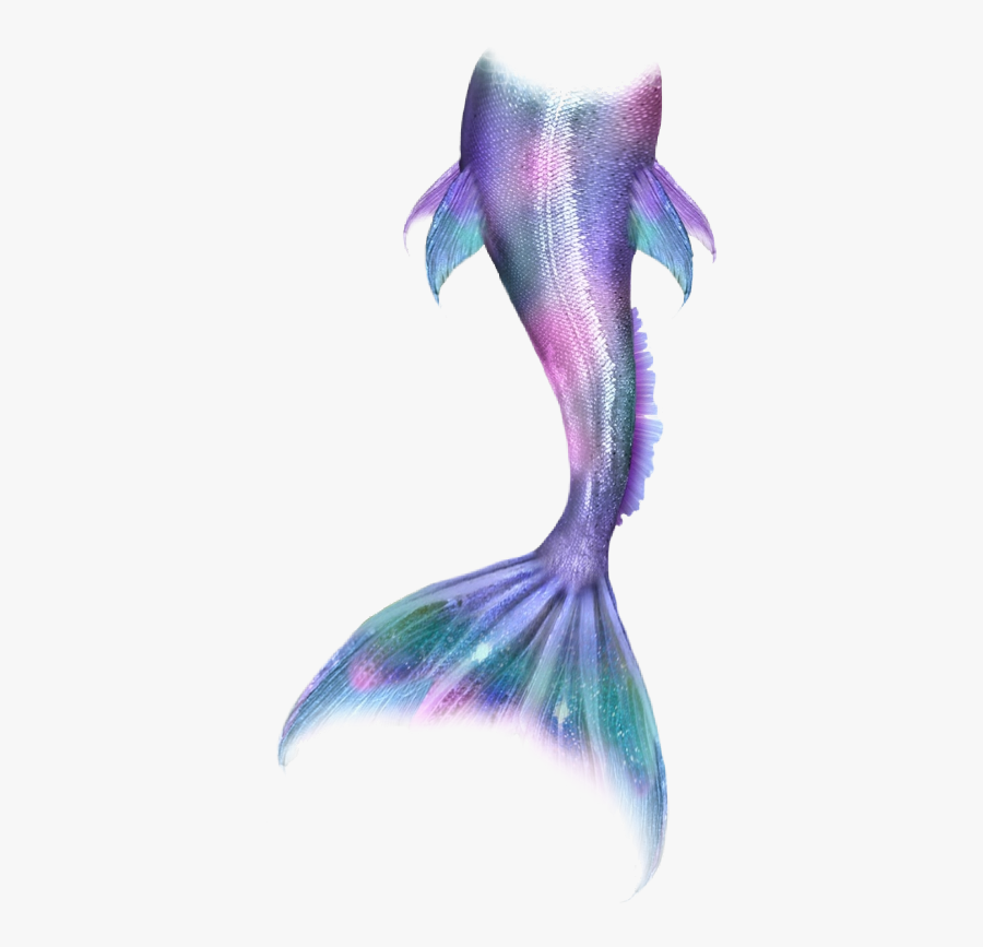 #mermaid #mermaidlife #mermaidtail #mermaids #merman - Transparent Mermaid Tail, Transparent Clipart