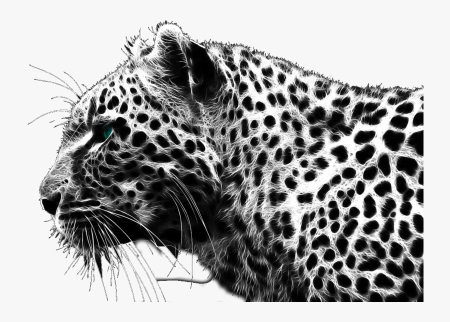 Cheetah Free Download Png - Black And White Cheetah, Transparent Clipart