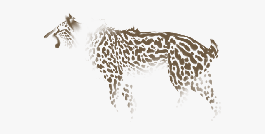 Cheetah, Transparent Clipart