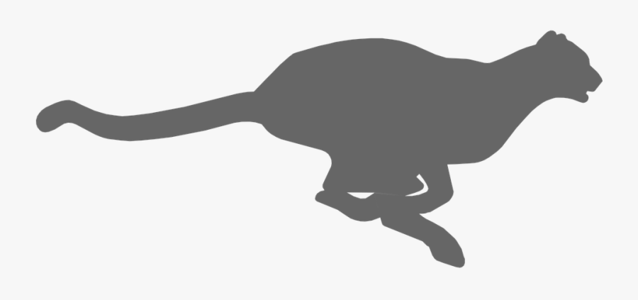 Cheetah, Animal, Fast, Run, Running, Wildlife, Cat - Cheetah Icon Png, Transparent Clipart