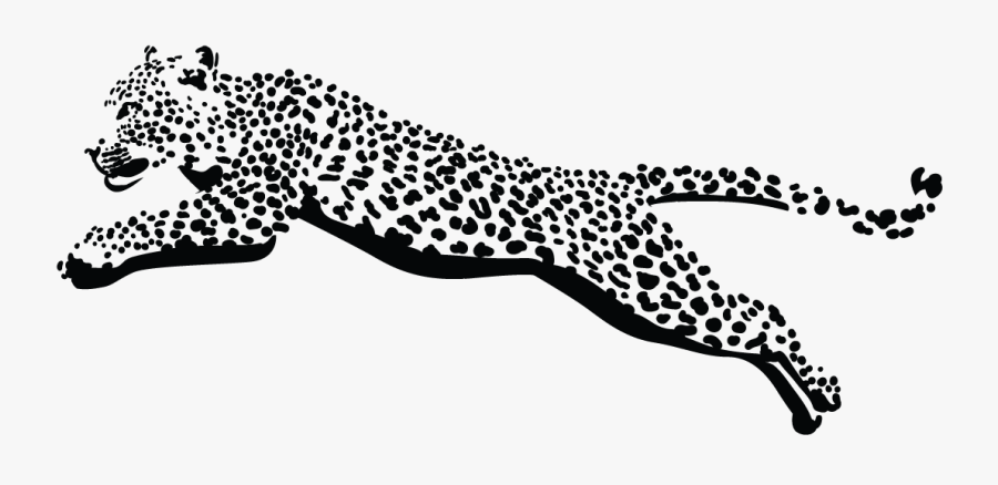 Cheetah , Free Transparent Clipart - ClipartKey