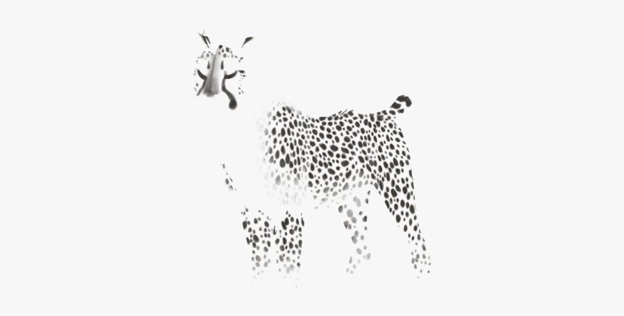 Cheetah, Transparent Clipart