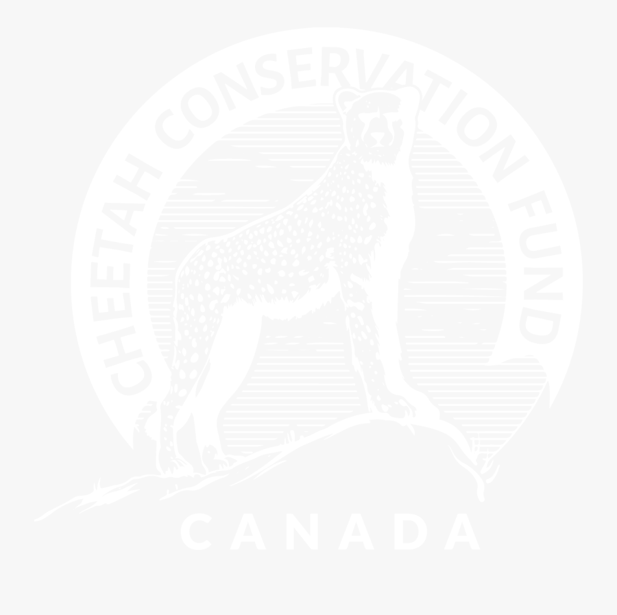 Logo Mercantil Santa Cruz, Transparent Clipart