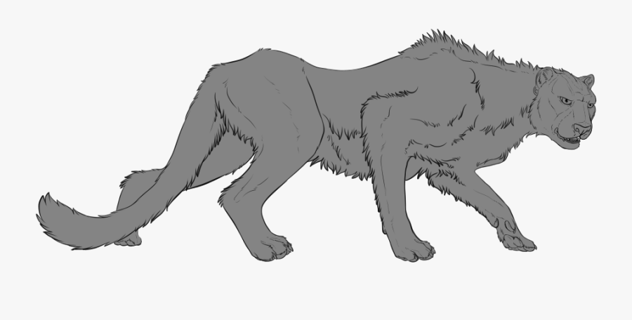 Asiatic Cheetah Sneak Peek - Puma, Transparent Clipart