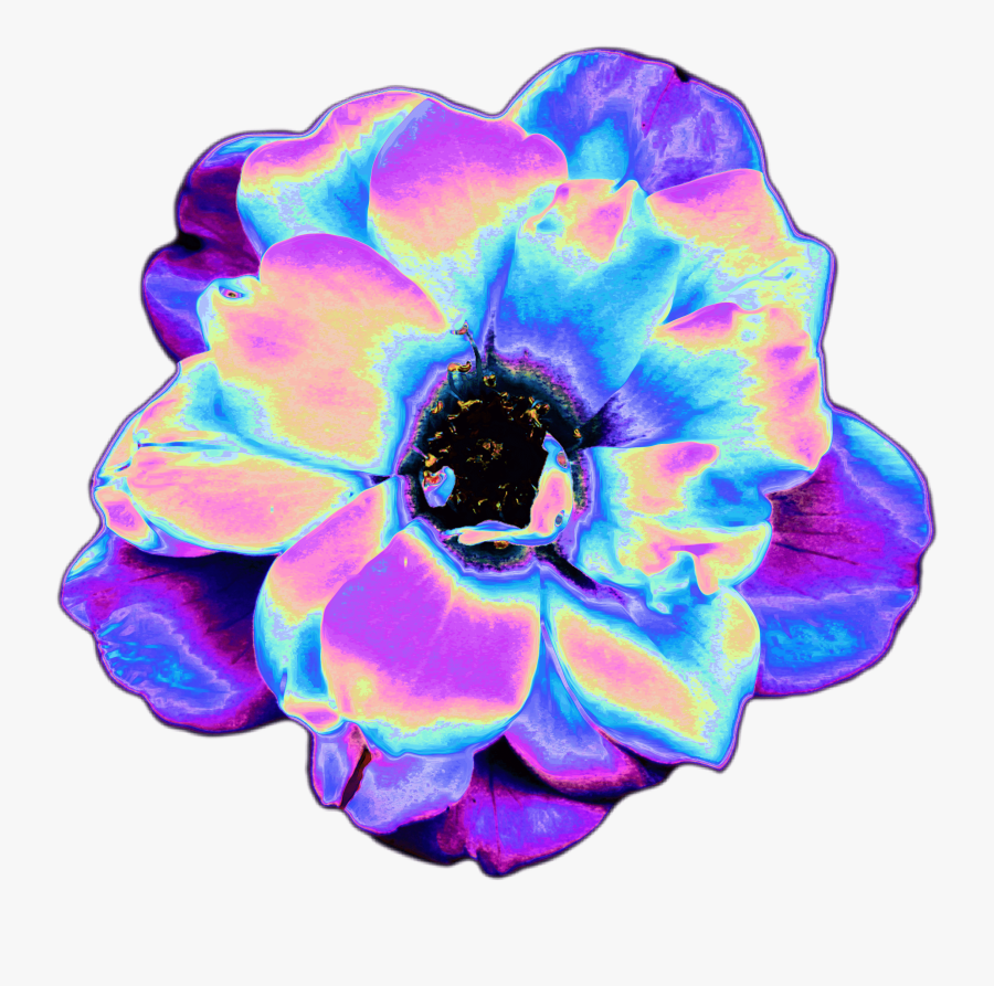 Transparent Blue Tumblr Png - Flowers Tumblr Png, Transparent Clipart