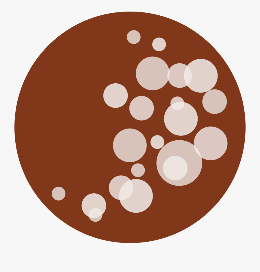 Culinary Travel, Made To Order - Prohibido Fumar, Transparent Clipart