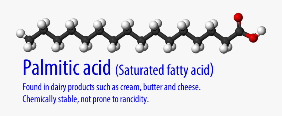 Saturated Fatty Acid 3d, Transparent Clipart