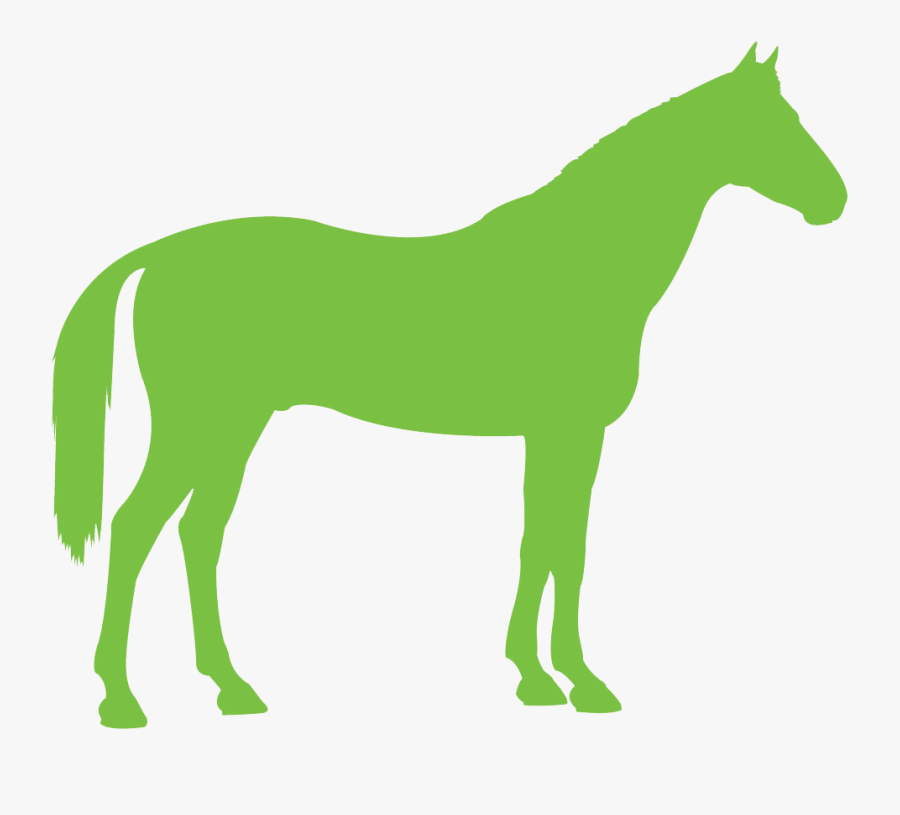 Congratulations To The Following Winners Of A Place - Green Horse, Transparent Clipart