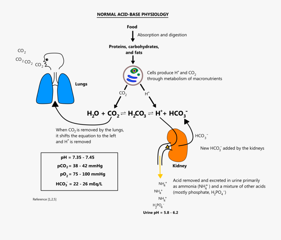 Diagram, Transparent Clipart