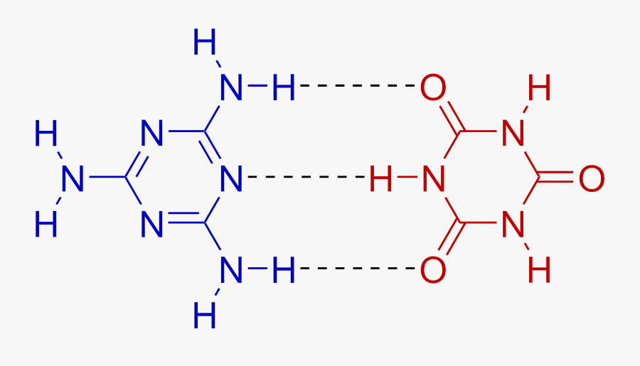 Clip Art Transparent Download File Melamine Cyanuric - Hydrogen Bonding In Base, Transparent Clipart