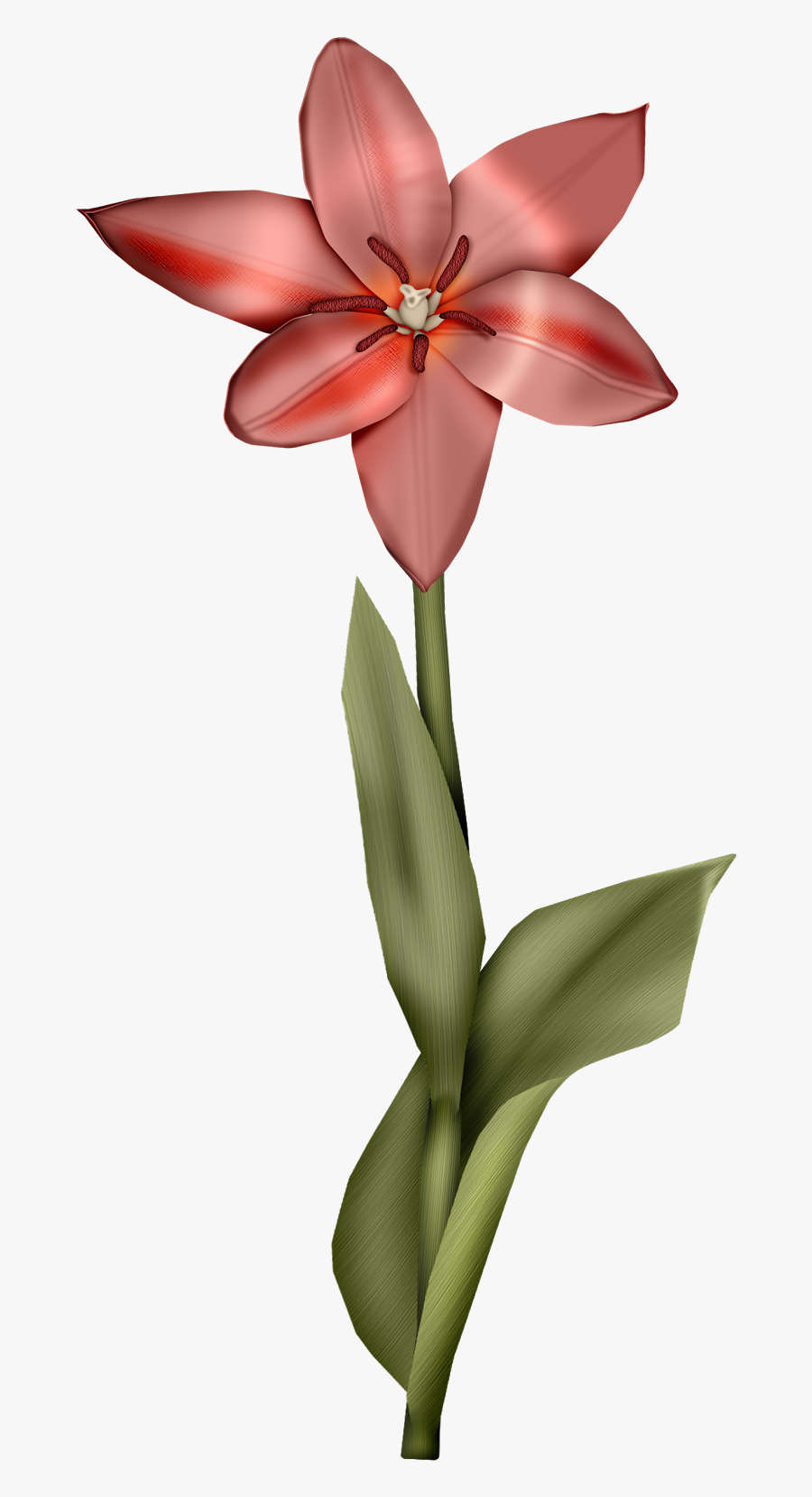 Transparent Birds Clipart Png - Lily, Transparent Clipart