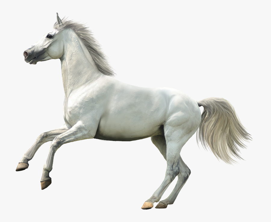 Running White Horse Png, Transparent Clipart