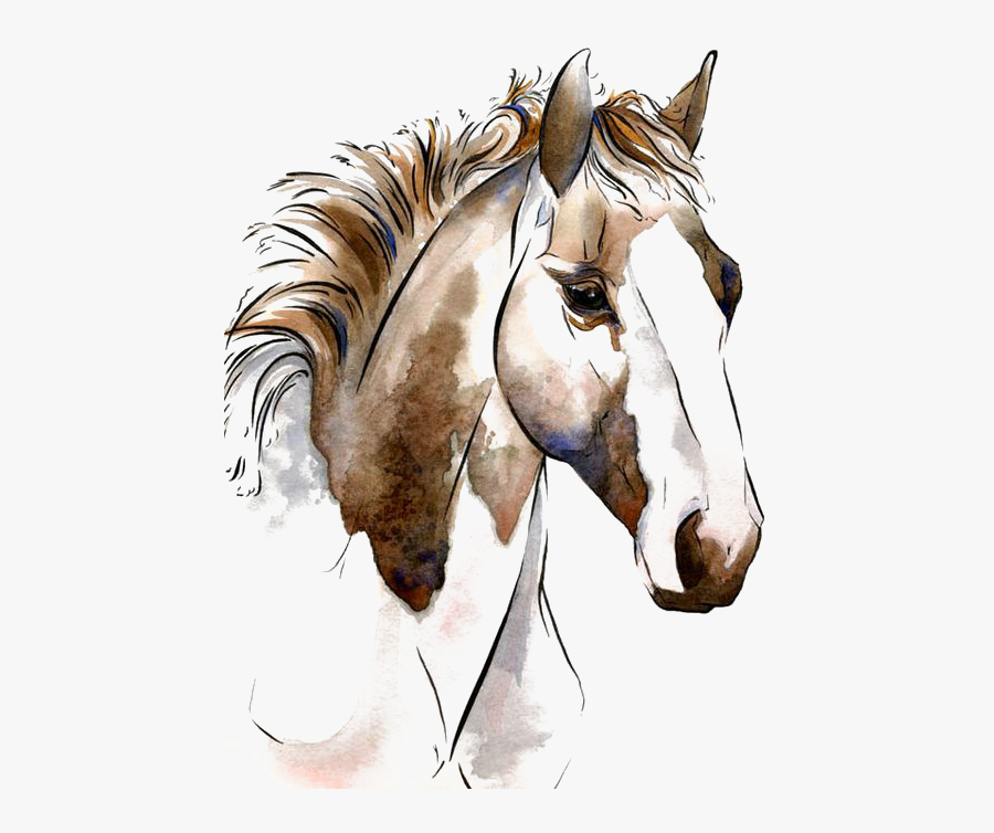 White Horse Clipart, Transparent Clipart