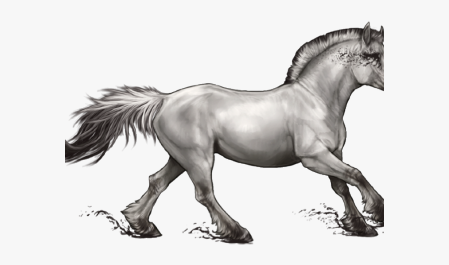 Stallion, Transparent Clipart
