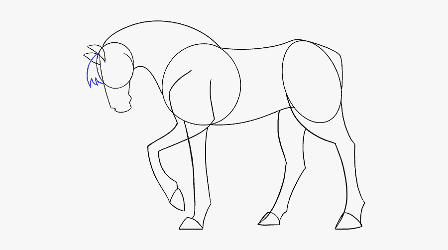 White Horse By Marauder - Step By Step Drawings Of Horses, Transparent Clipart