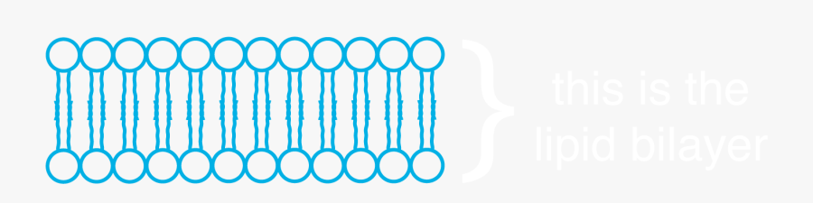 Yellow Cracked Skin Fingers - Lipid Clipart, Transparent Clipart