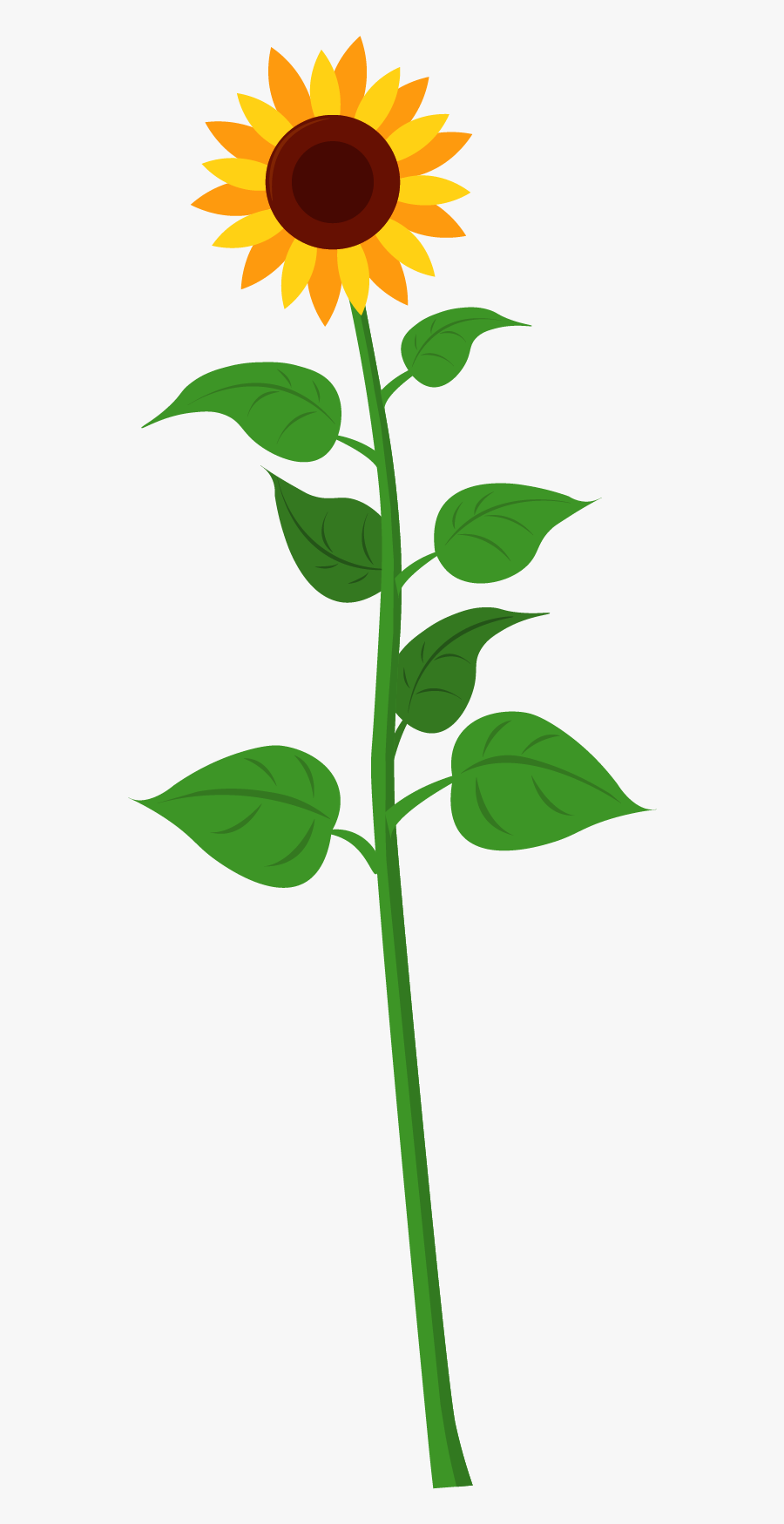 Download Transparent Sunflower Clipart Png - Stem Of Sunflower Clip ...