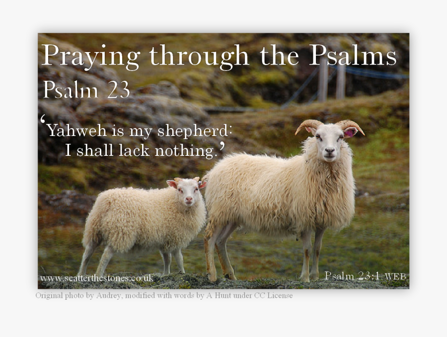 Clip Art Praying Through Psalms Psalm - Male Sheep And Female Sheep, Transparent Clipart