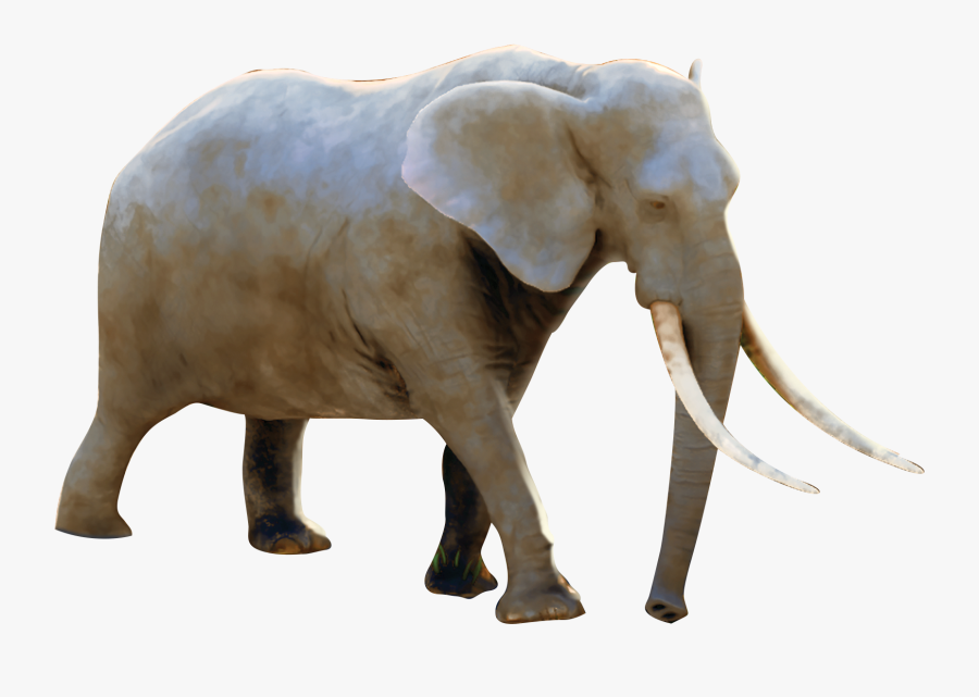 2019 Roar Vbs Elephant, Transparent Clipart
