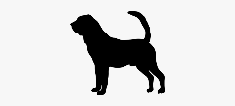 Bloodhound Siberian Husky Black And Tan Coonhound Affenpinscher - Belgian Malinois Fence Sign, Transparent Clipart