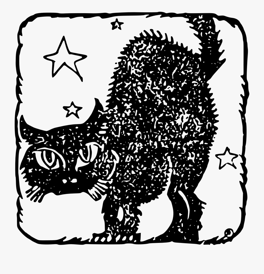 Starry Black Cat Halloween Printable Noun Verb And Adjective