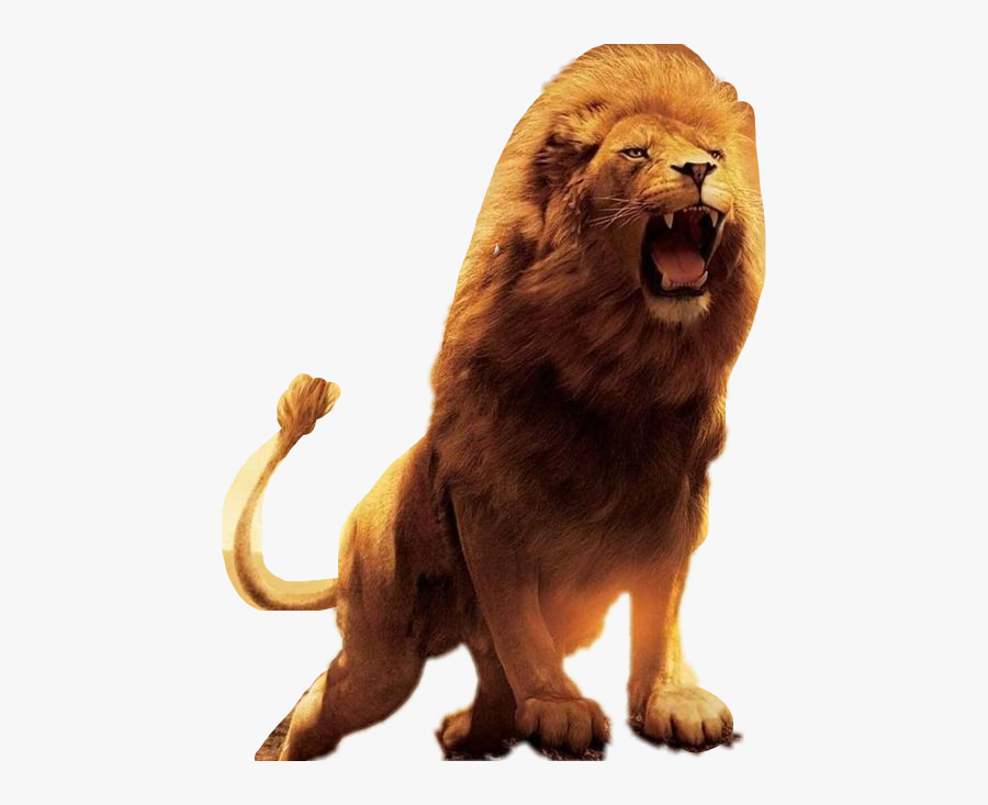 #lion #roar #jesusisking #freetoedit - Lion Images Hd Png, Transparent Clipart
