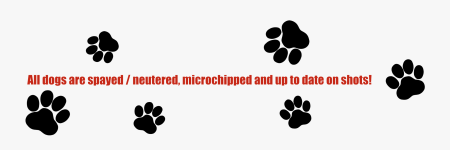 Save Animals Clipart , Png Download - Save Animals, Transparent Clipart