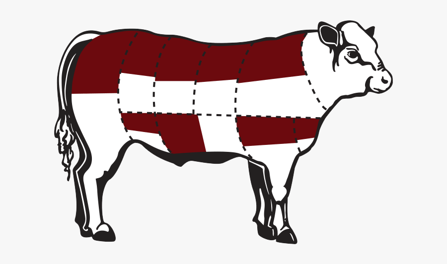 Toro Angus Vector, Transparent Clipart