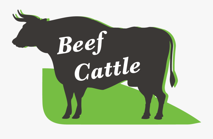 Picture - Dairy Cow, Transparent Clipart