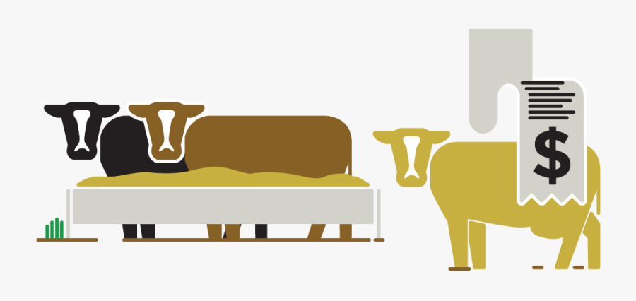 Cows Being Sold - Table, Transparent Clipart