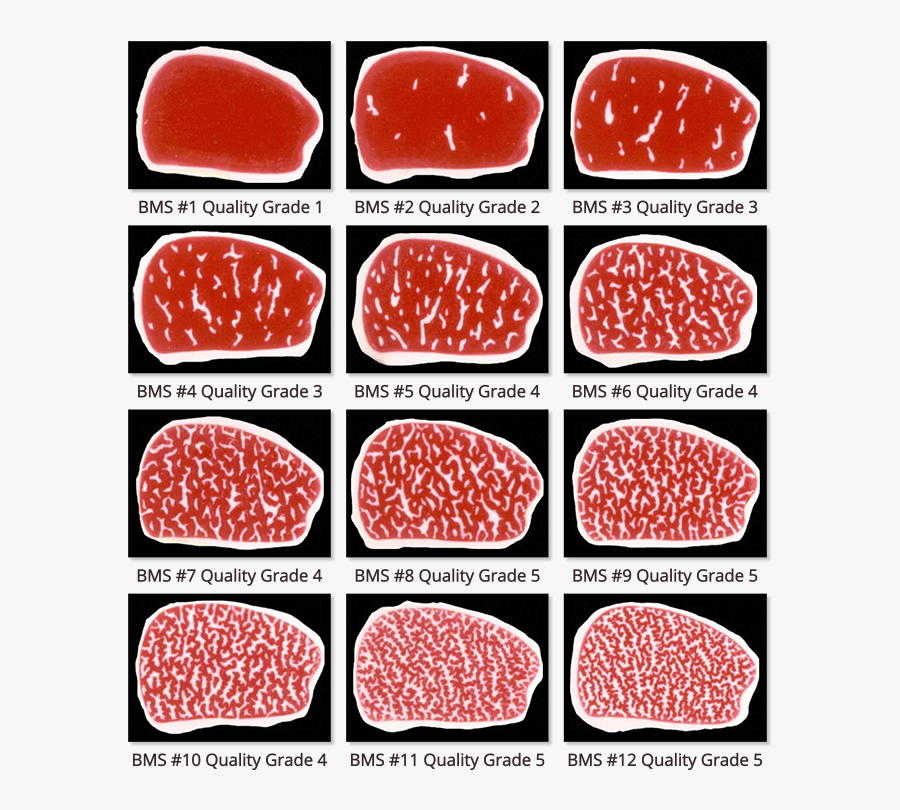 Beef Marbling, Transparent Clipart