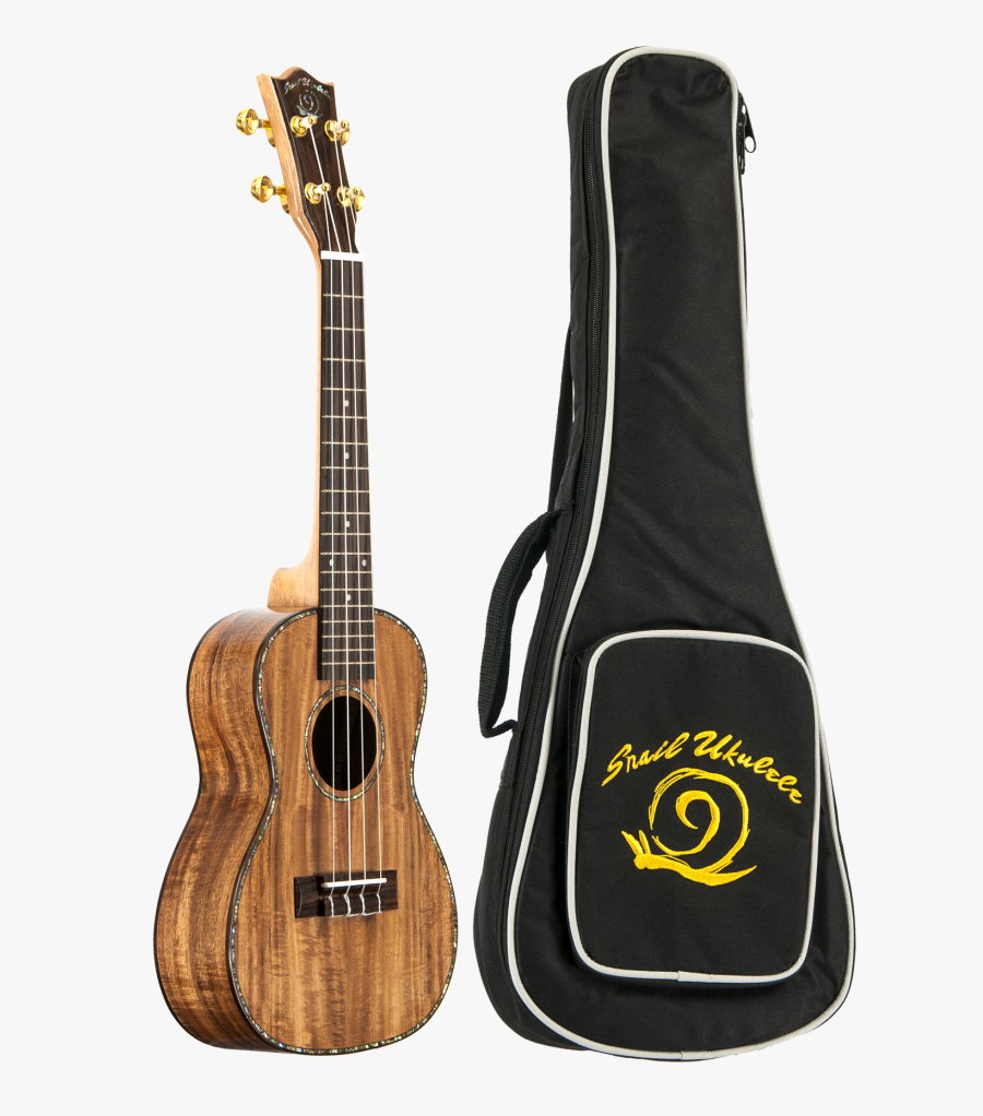 Snail Ukulele Koa Model Ukc 485 &amp - Snail Zebrawood Soprano Ukulele, Transparent Clipart