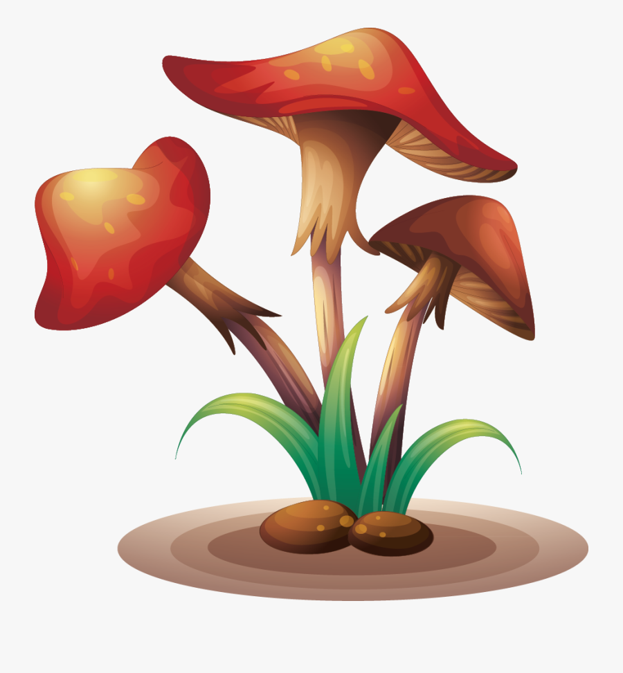 Fungus Clip Art Mushrooms - Clip Art, Transparent Clipart