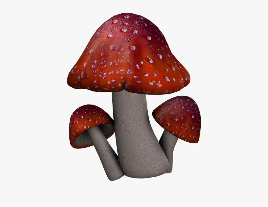 Red Mushroom Png - Fantasy Mushrooms Png, Transparent Clipart