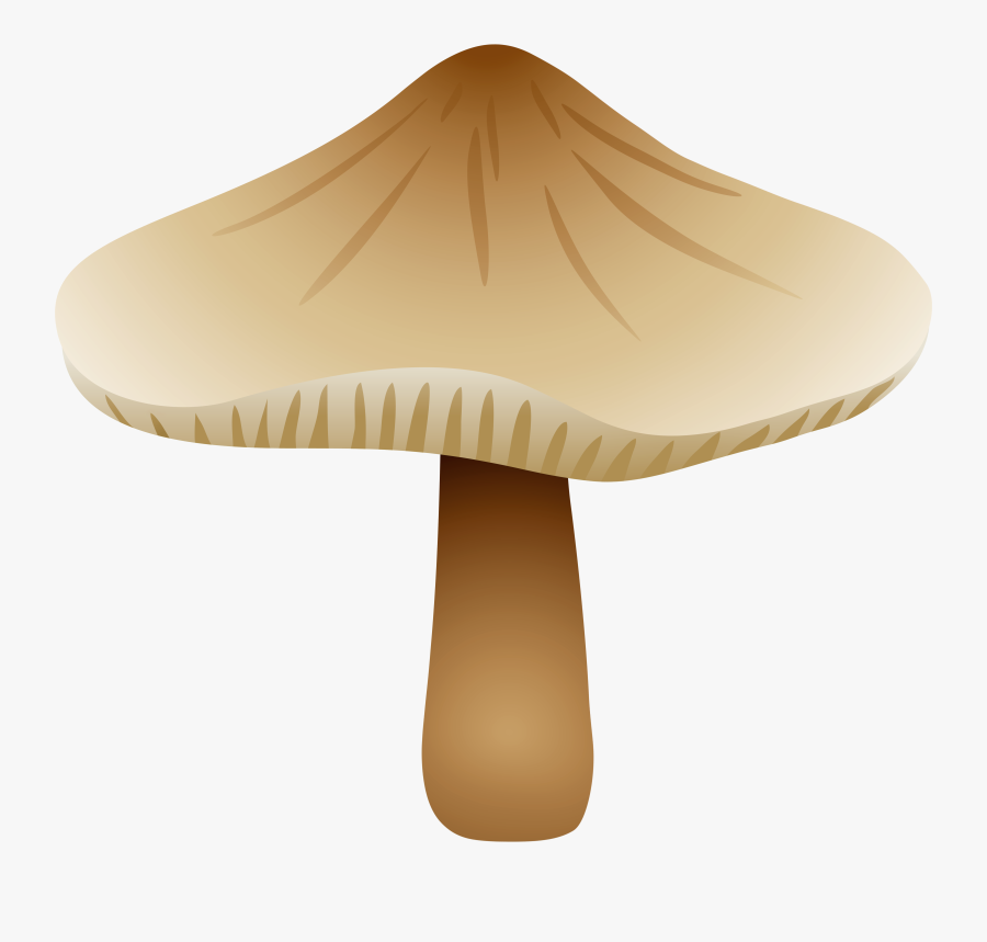 Mushroom Xerula Radicata Png Clipart - Russula Integra, Transparent Clipart