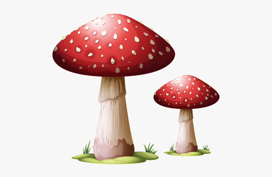 Mushroom Clipart Transparent Background, Transparent Clipart