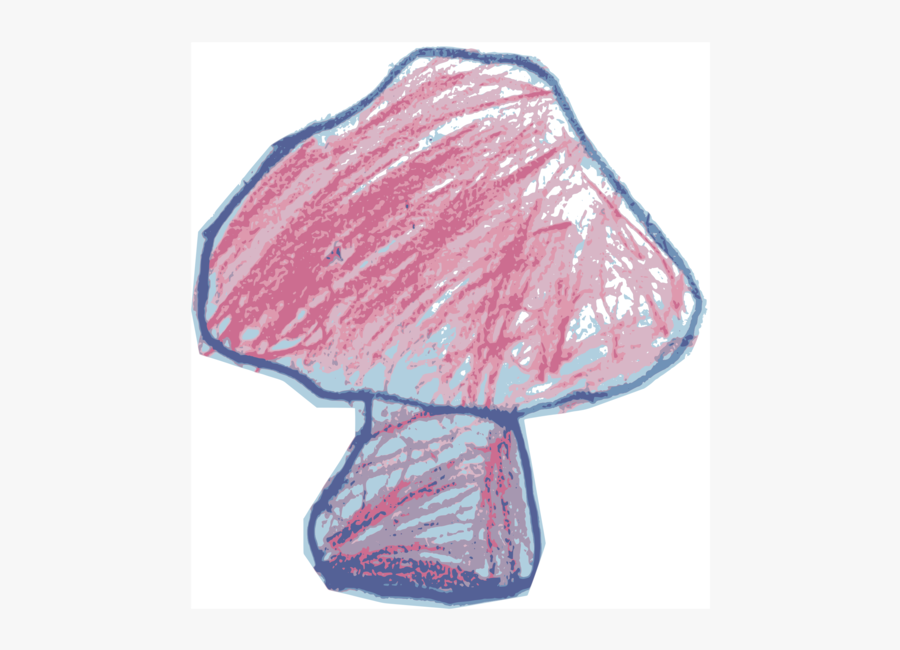 Pink,fungus,red Data Book Of Ukraine - Sketch, Transparent Clipart