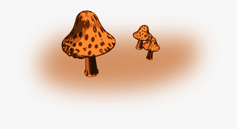 Fungi, Fungus, Mushrooms, Nature, Toadstool, Toxic - Piosenki O Grzybach Dla Dzieci, Transparent Clipart