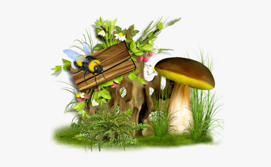 Illustration, Transparent Clipart