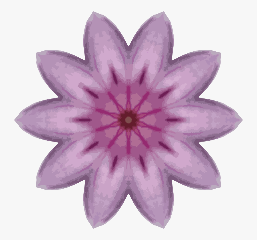 Olimpiada Estatal Veracruz 2019, Transparent Clipart