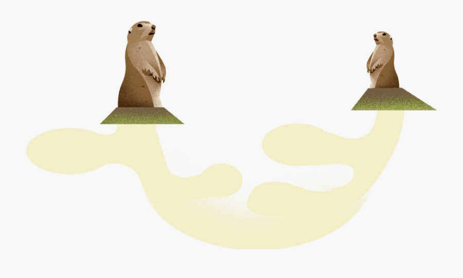 Prairie Dogs - Groundhog, Transparent Clipart