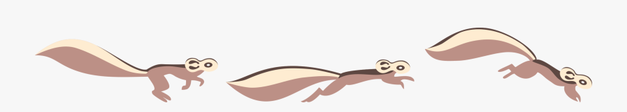 Chipmunk, Transparent Clipart