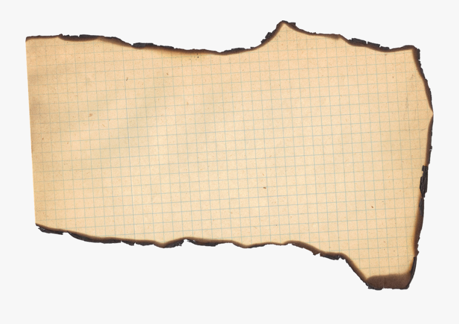 Paper Label Png - Orange, Transparent Clipart