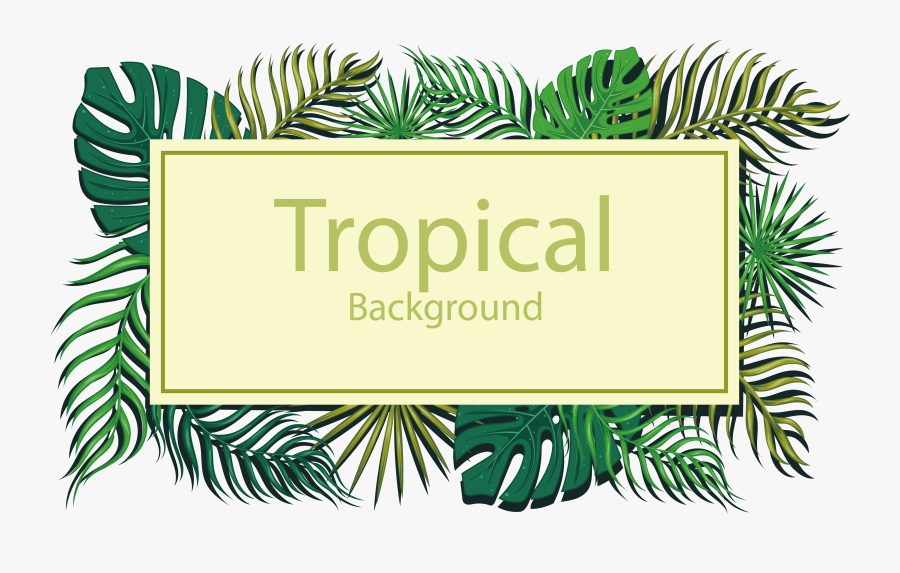 Transparent Tropical Background Clipart - Vector Leaf Title, Transparent Clipart
