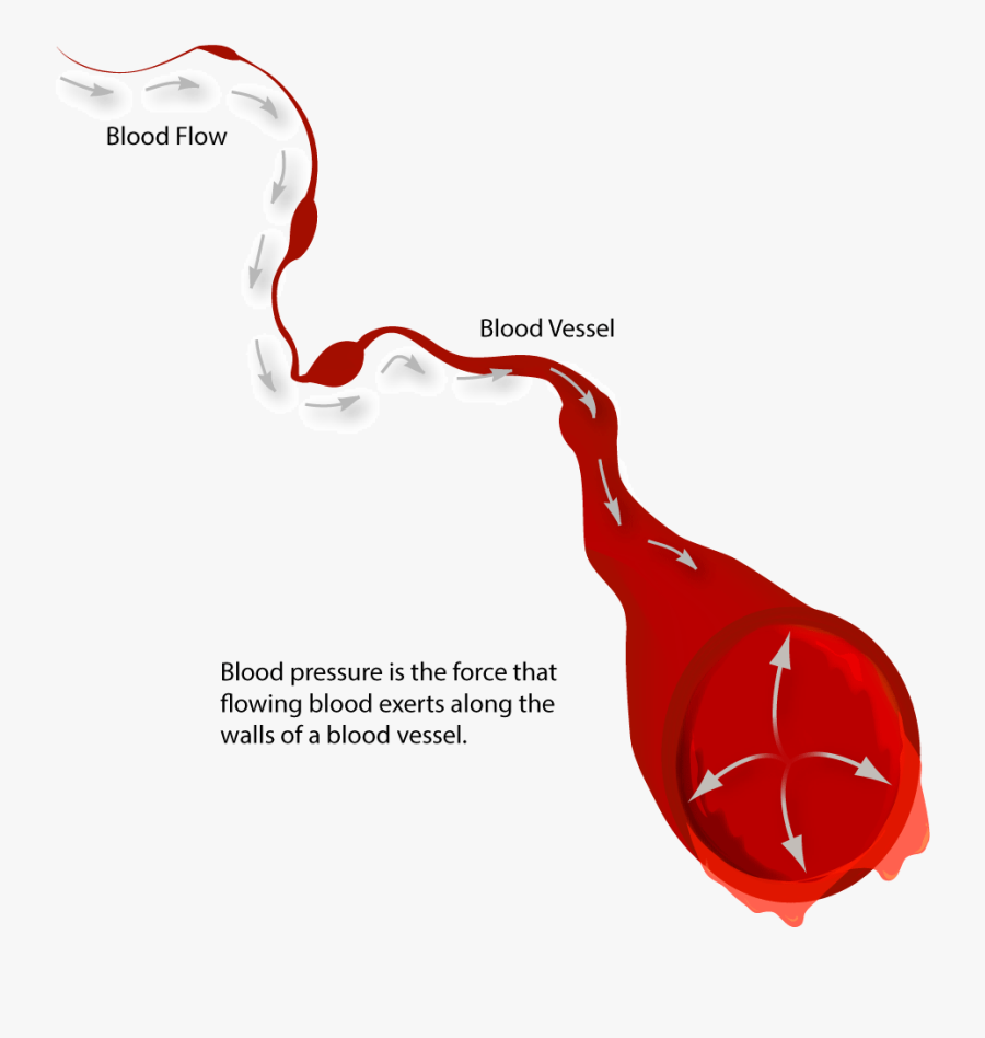 Narrow Blood Vessels, Transparent Clipart
